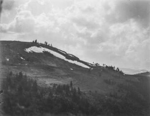 Berglandschaft : Blick auf Waldflächen und Berghänge mit einzelnem Baumbestand dahinter