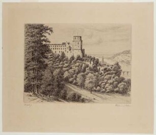 Heidelberg, Stadt, Schloss und Alte Brücke von Osten