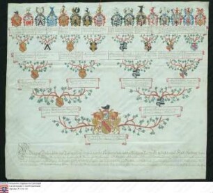 Ahnenprobe des Georg Ludwig v. Coudenhove z. Fraiture u. Setterich. - ausgefertigt 1783 Februar 21 Burgmann, Pergament