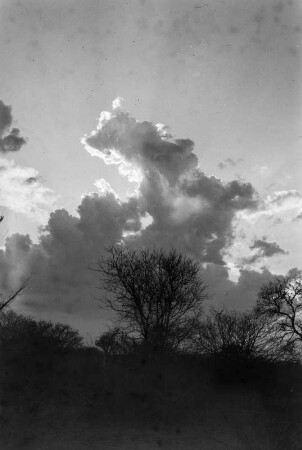 Gewitterwolke (Nordrhodesien-Aufenthalt 1930-1933 - Betchuanaland: Tuli-Block)