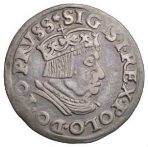 Polen: Dreigröscher 1537
