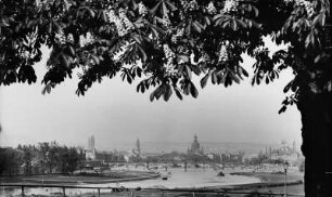 Dresden. Blick vom Waldschlößchen nach Südwesten auf die Altstadt