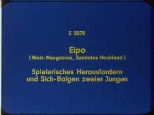 Eipo (West-Neuguinea, Zentrales Hochland) - Spielerisches Herausfordern und Sich-Balgen zweier Jungen