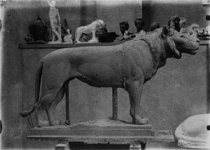 Ohne Titel (Im Atelier von August Gaul: Modell eines stehenden jungen Löwen)