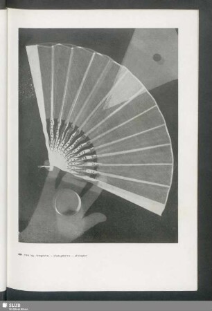 Fotogramm