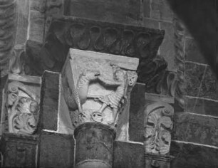 Krieger der gegen einen Drachen kämpft