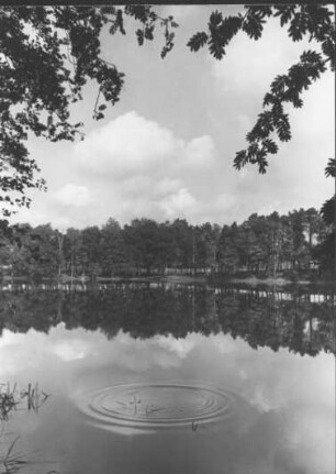 Hamburg-Poppenbüttel. Der Kupferteich ein Badesee der Hamburger