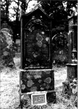 Grabstein 253 [Nir S. 156 Nr. 15.09]