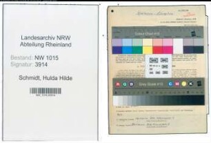 Entnazifizierung Hulda Hilde Schmidt , geb. 14.10.1899 (Lehrerin)