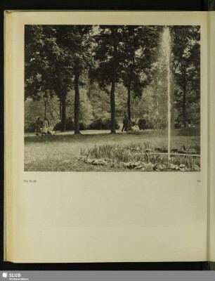 Der Brühl