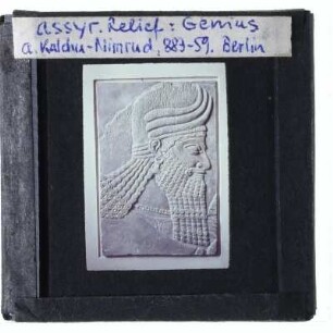 Assyrisches Relief, Geflügelter Genius