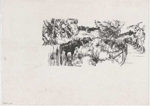 Hansjakob, Gottfried; Frankfurt am Main; Frankfurter Zoo - Tierhaltung im Zoo (Perspektive)