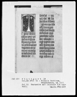 Missale festivum — Initiale T(e igitur), Folio 55recto