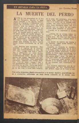 La muerte del perro : Un detalle para la pista