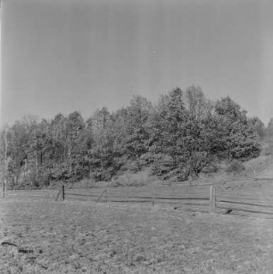 Schanze Kuckau : Blick zur Kuckauer Schanze