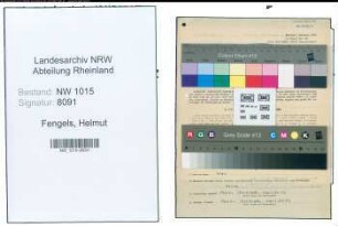 Entnazifizierung Helmut Fengels , geb. 03.01.1907 (Ingenieur)