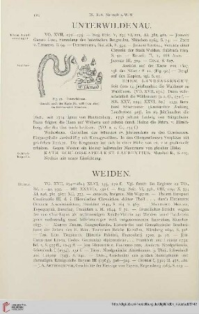 ⟦Unterwildenau⟧