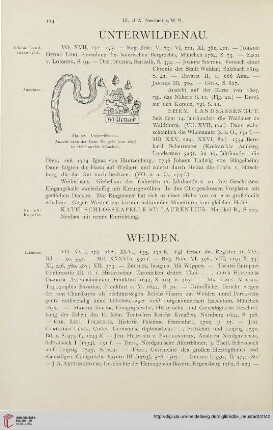 ⟦Unterwildenau⟧