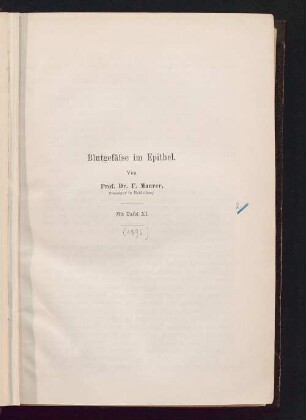Blutgefäße im Epithel