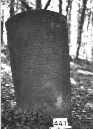 Grabstein 447 (Index: 99898208) Material: Sandstein Zustand: stellenweise verwittert Maße HxBxT: 122x59x11 cm Beschreibung: Stele mit Segmentbogenabschluss: Grabstein 447