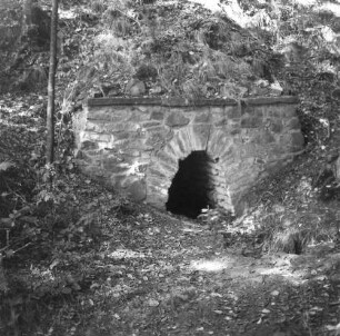Mittelsachsen. Rothschönberger Stolln (1844/1846). Buchenbornrösche. Mundloch