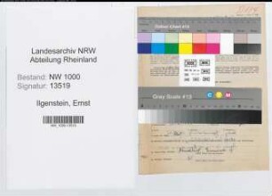 Entnazifizierung Ernst Ilgenstein, geb. 17.12.1883 (Wirtschaftsberater)