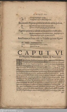 Caput VI. De Hepate, Vesica fellea, Liene, & Pancreate