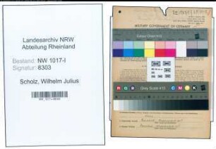 Entnazifizierung Wilhelm Julius Scholz , geb. 12.05.1904 (Ingenieur)