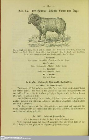 Cap. IX. Der Hammel (Schöps), Lamm und Ziege
