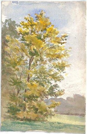Neureuther, Lorenz; Landschaftskizzen - Baum (Ansicht)
