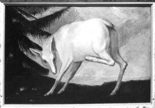 Hirschkuh (Albino) : Hirschkuh (Albino). Öl? auf Holz (wohl 1630/1684; C. Schiebling und C. Wiebel zugeschrieben). Radebeul, Hoflößnitz, Berg- und Lusthaus, Berg- und Lusthaus, Wohnraum des Kurfürsten