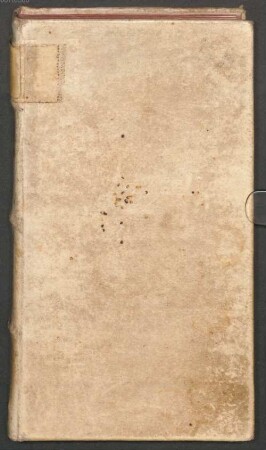 Regula Sancti Birgittae - Dombibliothek Freising Alto MS Z 00204