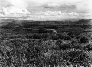 In der Chochambagegend : Landschaft mit Vegetation bei Quillacollo. Im Hintergrund ein Höhenzug.