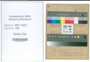 Entnazifizierung Karl Roese , geb. 26.08.1901 (Schlosser)