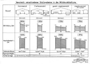 Vergleich verschiedener Stallsysteme in der Milchviehhaltung