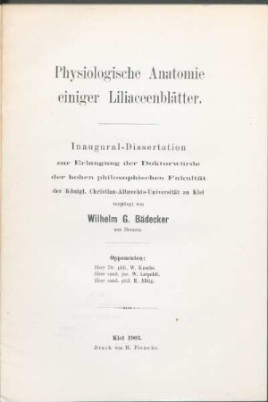 Physiologische Anatomie einiger Liliaceenblätter