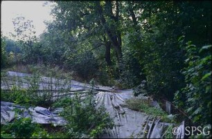 Potsdam, Neuer Garten, Dach der Grotte.