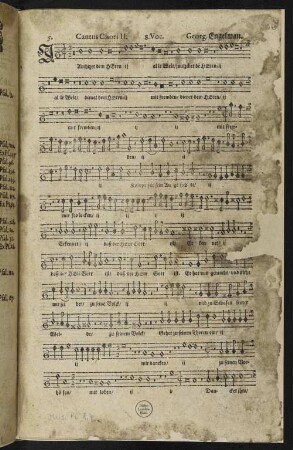 Cantus