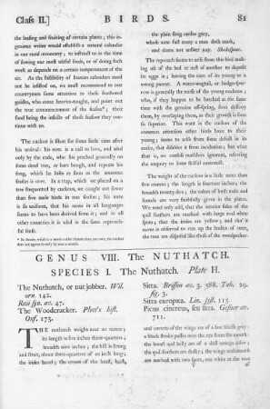 Genus VIII. The Nuthatch