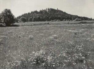 Geisingberg. Blühende Gebirgswiese am Nordfuß des Berges