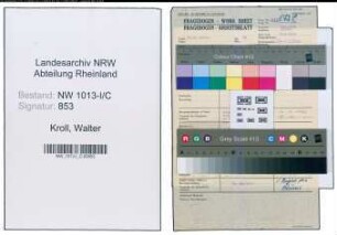 Entnazifizierung Walter Kroll , geb. (Schuster)