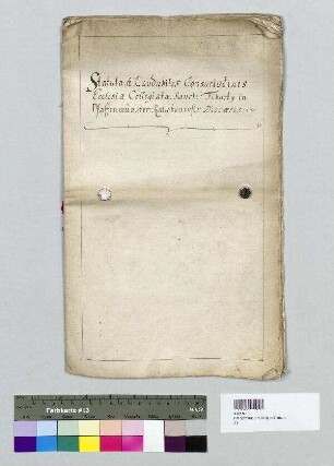 Statuten und und Gewohnheiten der Kollegiatskirche St. Tiburtius in Pfaffenmünster.
