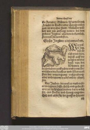 Grün Ingber einzumachen.