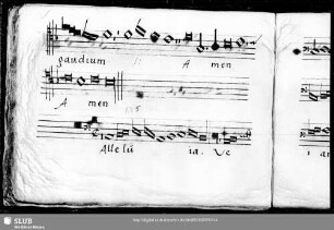 Anonymus: Alleluia