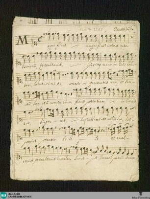 Magnificat - Don Mus.Ms. 2285 : V (X), orch; C