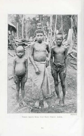 Three Jakun boys, Ulu Batu Pahat, Johor