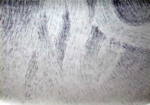 Weich 2