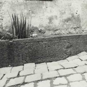Pfaffengrün, Kr. Auerbach, Trog