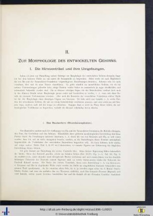 II. Zur Morphologie des entwickelten Gehirns.