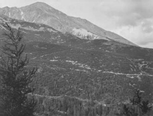 Bewaldeter Berghang : Blick auf einen bewaldeten Berghang